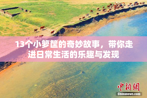 13个小箩筐的奇妙故事，带你走进日常生活的乐趣与发现
