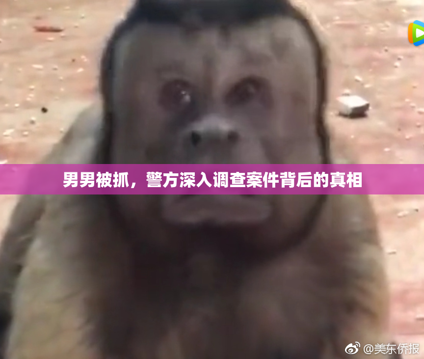 男男被抓，警方深入调查案件背后的真相