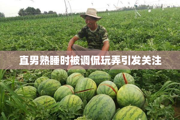 直男熟睡时被调侃玩弄引发关注