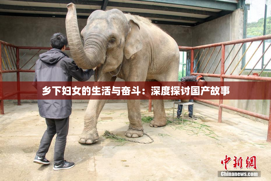 乡下妇女的生活与奋斗：深度探讨国产故事