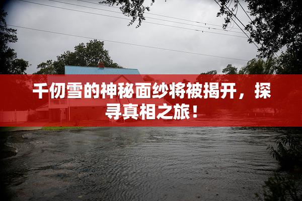 千仞雪的神秘面纱将被揭开，探寻真相之旅！