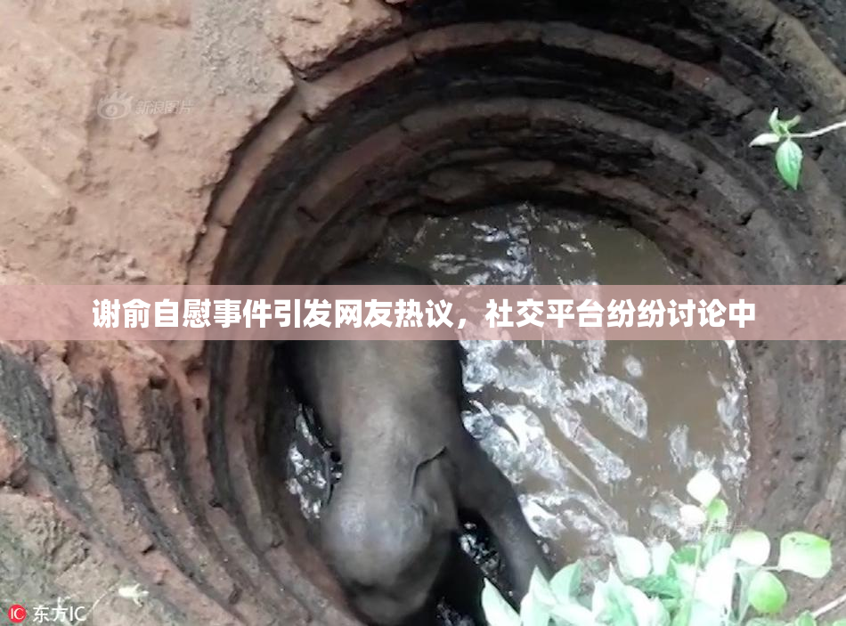 谢俞自慰事件引发网友热议，社交平台纷纷讨论中