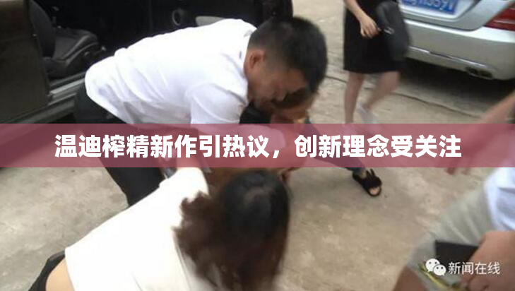温迪榨精新作引热议，创新理念受关注