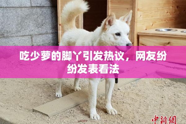 吃少萝的脚丫引发热议，网友纷纷发表看法