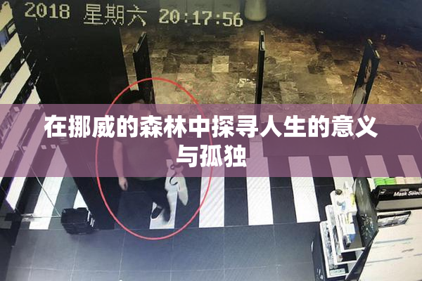 在挪威的森林中探寻人生的意义与孤独