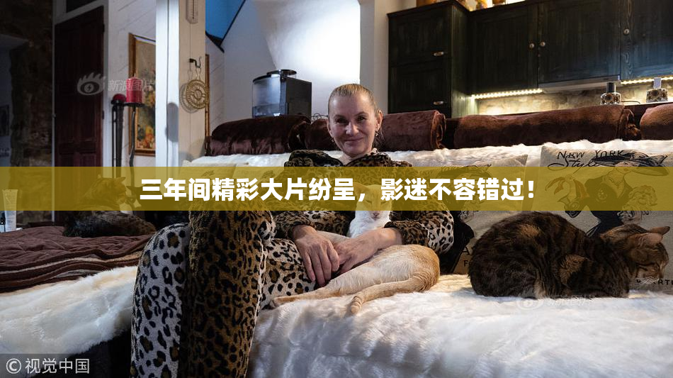 三年间精彩大片纷呈，影迷不容错过！