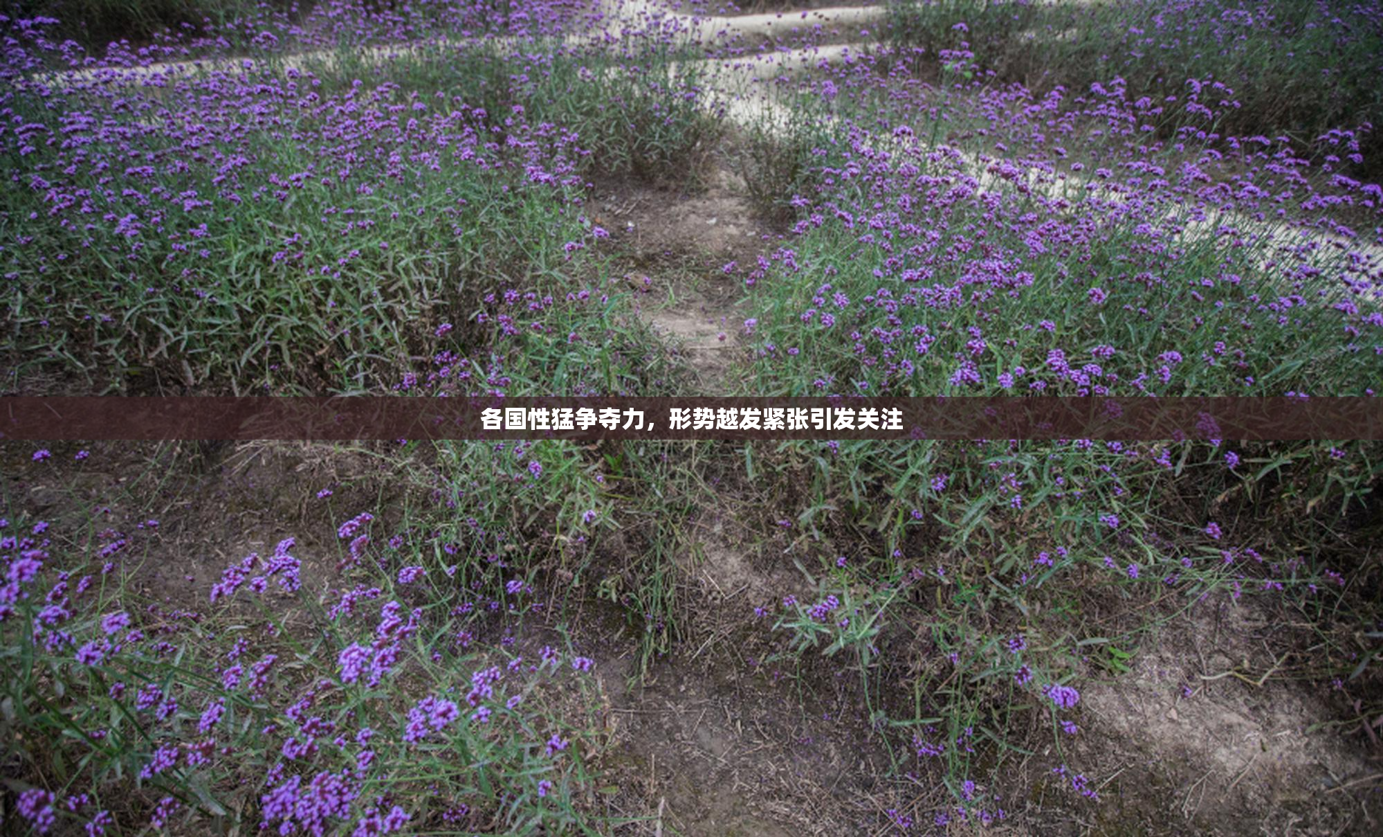 各国性猛争夺力，形势越发紧张引发关注