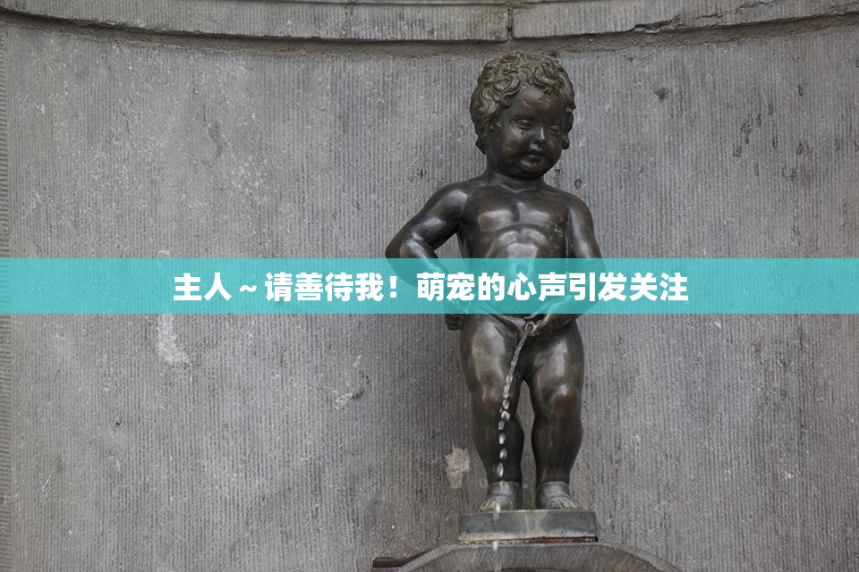 主人～请善待我！萌宠的心声引发关注
