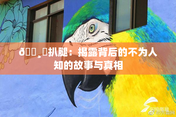 🌸‌扒腿：揭露背后的不为人知的故事与真相