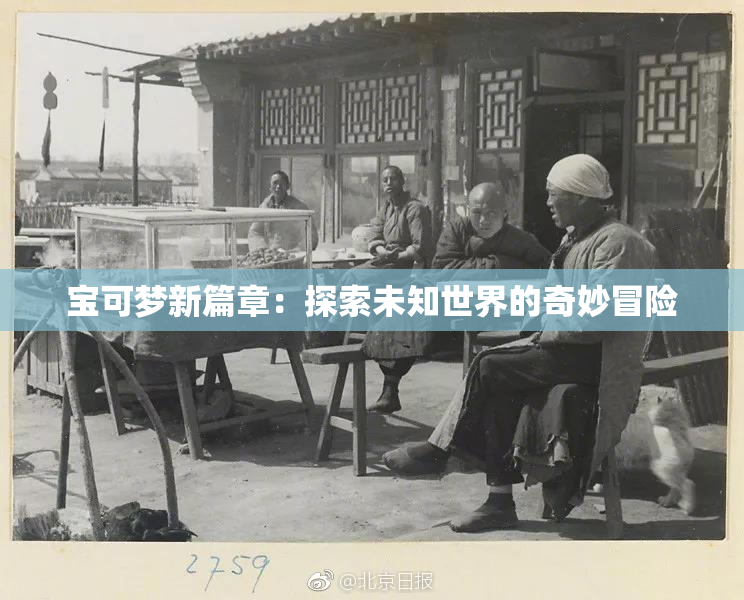宝可梦新篇章：探索未知世界的奇妙冒险