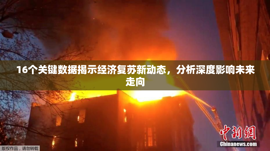 16个关键数据揭示经济复苏新动态，分析深度影响未来走向