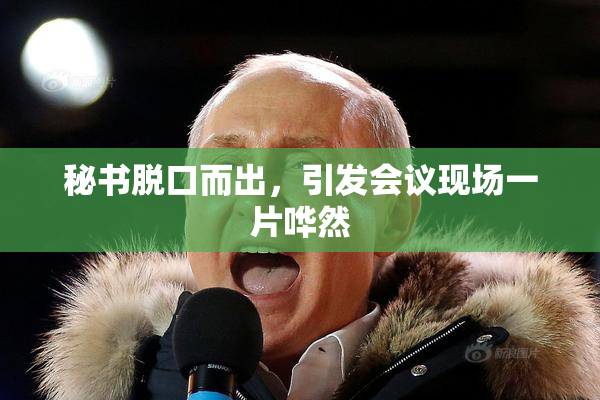 秘书脱口而出，引发会议现场一片哗然