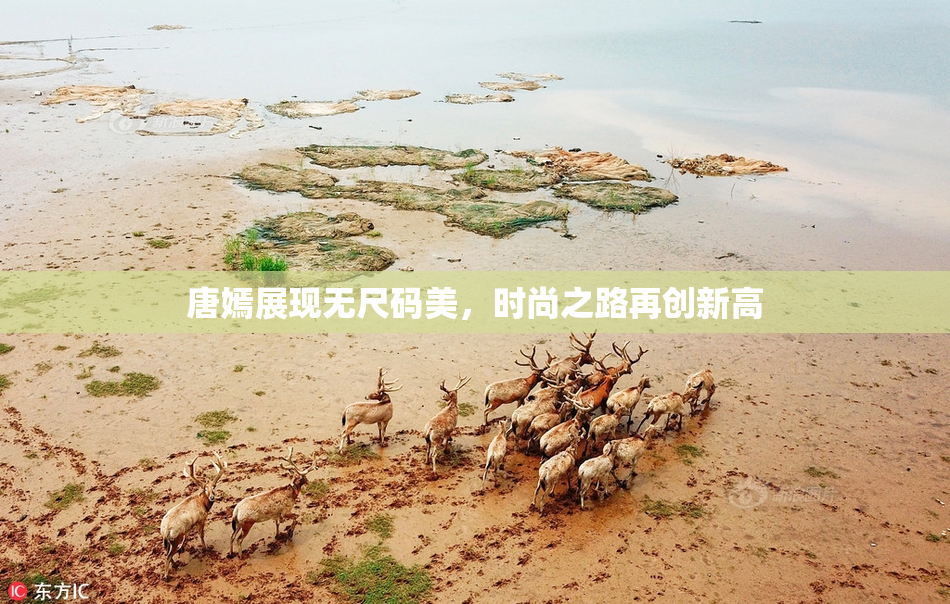 唐嫣展现无尺码美，时尚之路再创新高