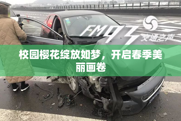 校园樱花绽放如梦，开启春季美丽画卷