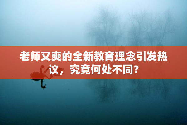 老师又爽的全新教育理念引发热议，究竟何处不同？