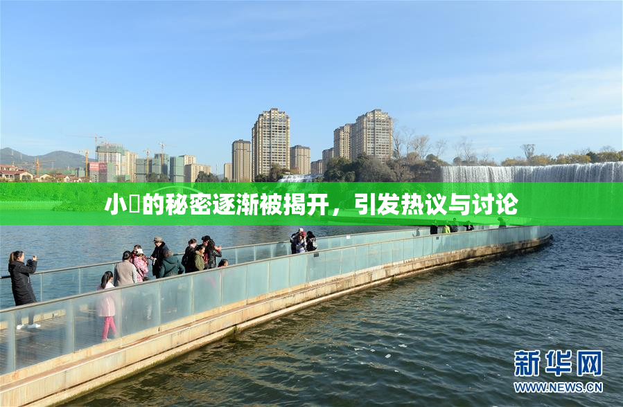 小泬的秘密逐渐被揭开，引发热议与讨论