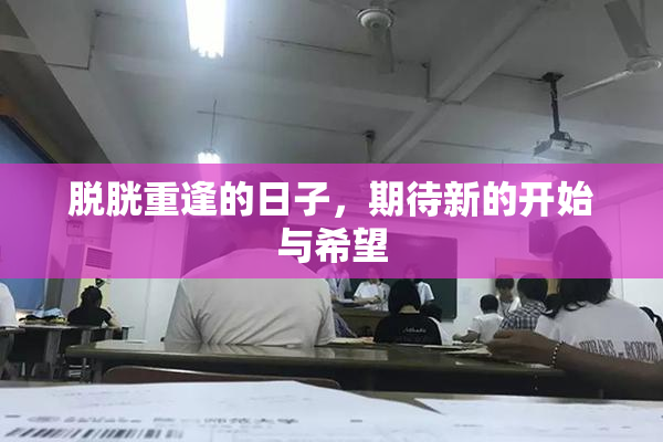 脱胱重逢的日子，期待新的开始与希望