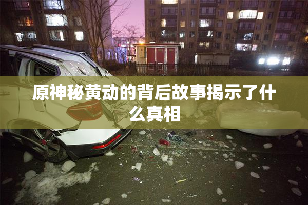 原神秘黄动的背后故事揭示了什么真相