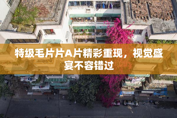 特级毛片片A片精彩重现，视觉盛宴不容错过