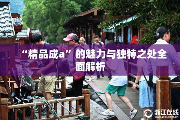 “精品成a”的魅力与独特之处全面解析
