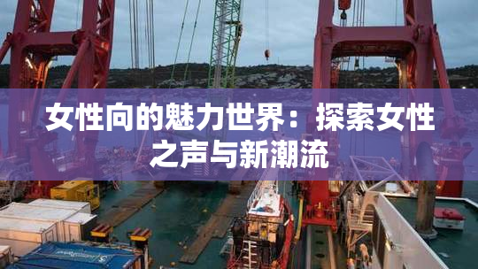 女性向的魅力世界：探索女性之声与新潮流