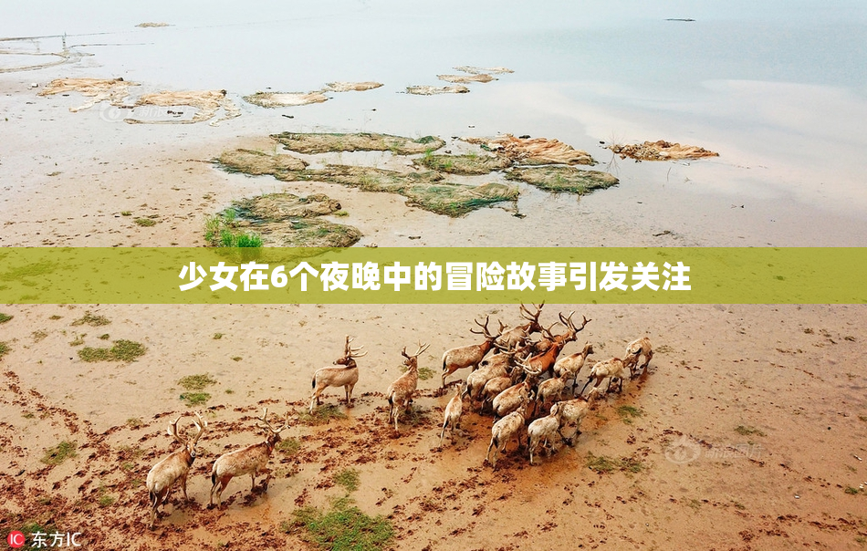 少女在6个夜晚中的冒险故事引发关注