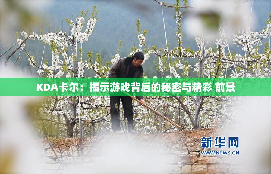 KDA卡尔：揭示游戏背后的秘密与精彩 前景