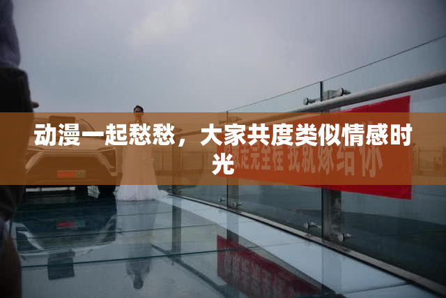 动漫一起愁愁，大家共度类似情感时光