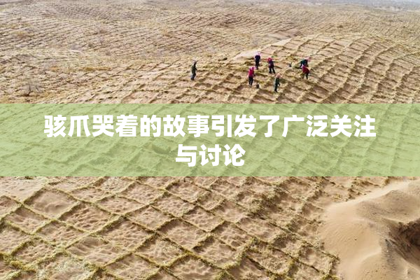 骇爪哭着的故事引发了广泛关注与讨论